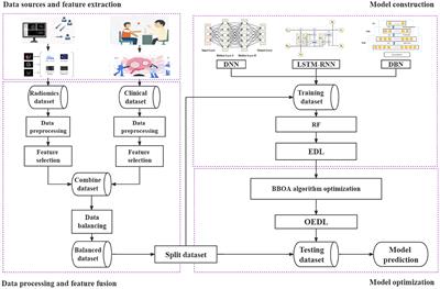 OEDL: an optimized ensemble deep learning method for the prediction of acute ischemic stroke prognoses using union features